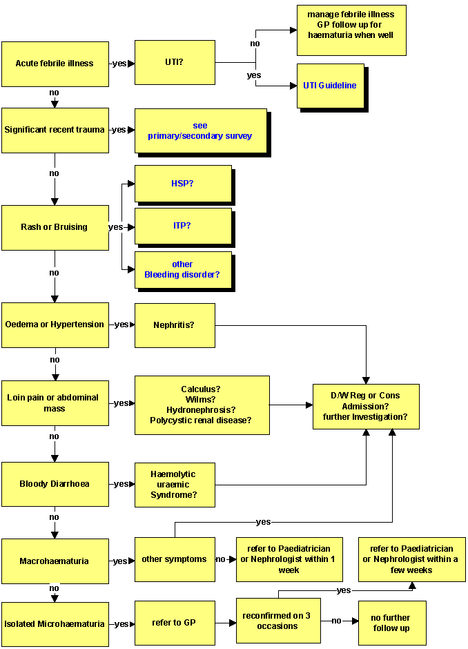 Staff Portal Rch