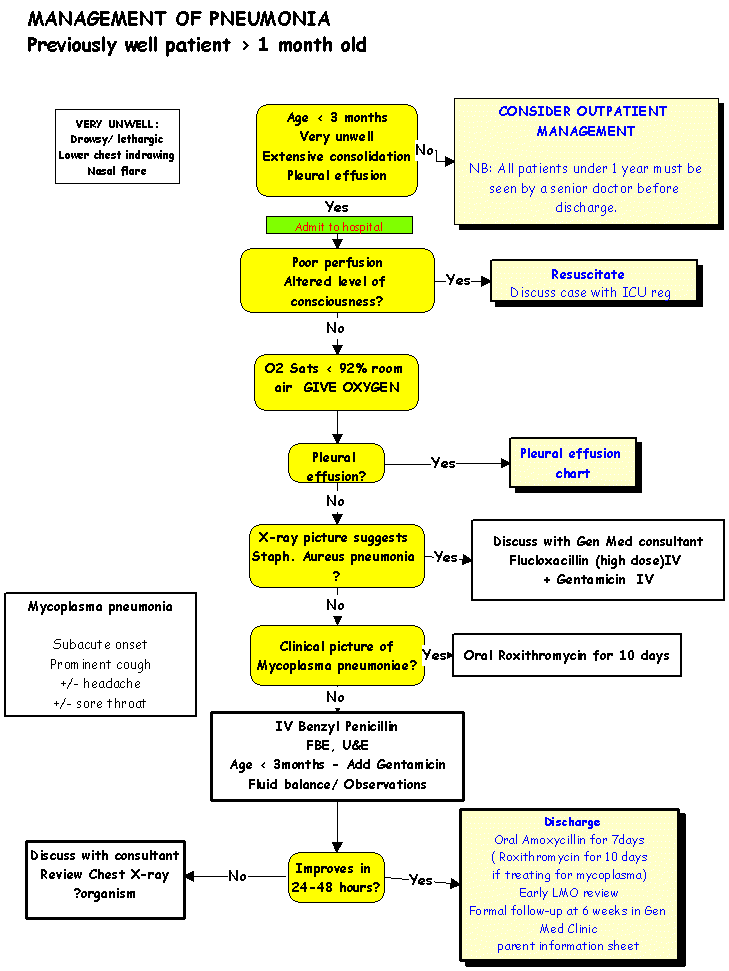 Clinical Practice Guidelines Management of Pneumonia flowchart 1