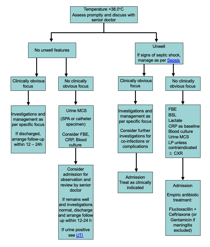 PDF) Current management of occult bacteremia in infants
