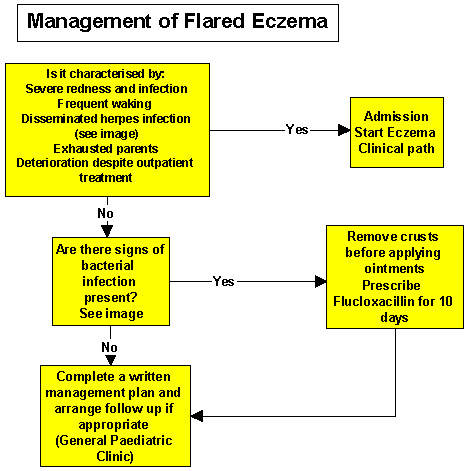 Allergic Reaction Treatment Protocol Clinical Practice Guidelines Eczema flowchart