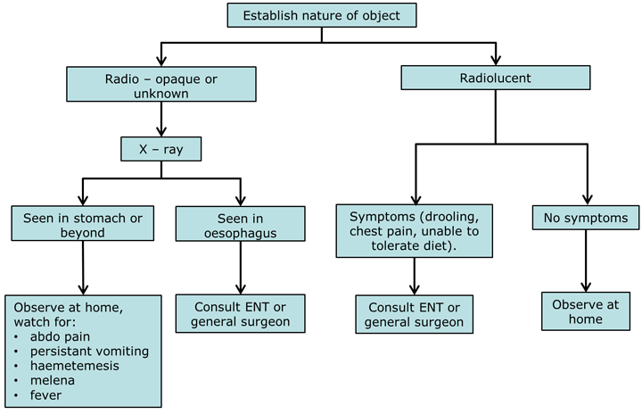 clinical-practice-guidelines-foreign-bodies-ingested-flowchart