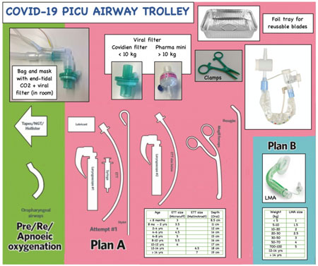 Emergency Airway Management Part Intubation The Pro Vrogue Co