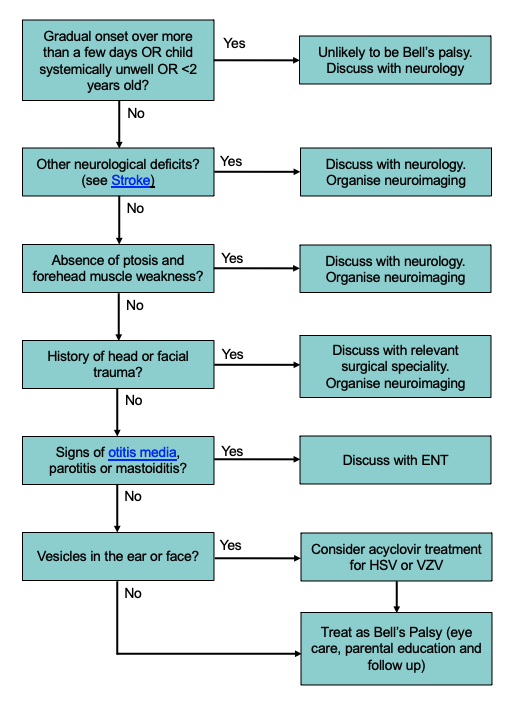 Facial weakness and Bell’s palsy - Diagram