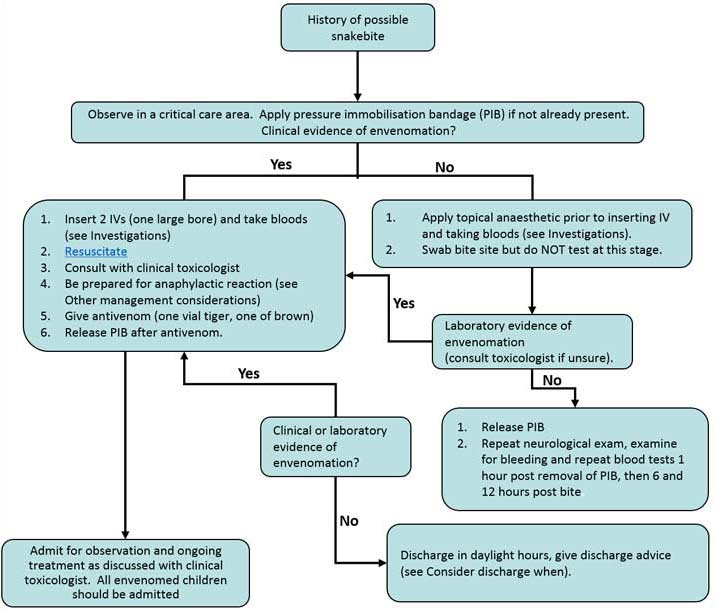 Clinical Practice Guidelines : Snakebite