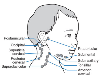 Clinical Practice Guidelines Cervical Lymphadenopathy