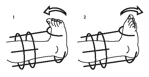 Active movement of toes